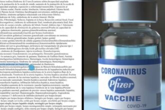 Pfizer Document Lists Hantavirus as One of 1,233 Adverse Events of Special Interest – Sparking Renewed Debate